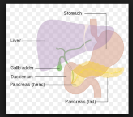 Pancreatic cancer - hyperbarics